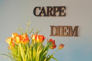 Jann-BergHaus - Fewo Stella