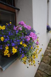 Soludus-Spišský ľudový dom