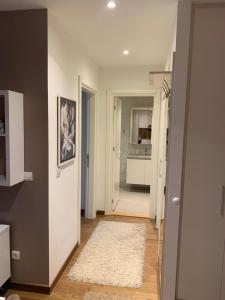 Belgrade Waterfront Premium