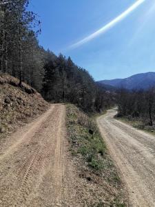 Vikend kuca Maksimovic