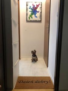 Andersena Modern B - 10 min CMKP - 5 min Metro - 15 min Center