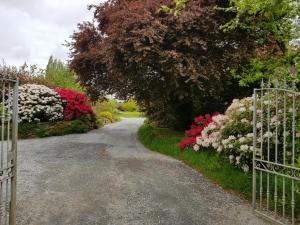 Maisons de vacances Gite de la Filuziere - Meuble touristique classe 4 etoiles - Entre Granville et Avranches : photos des chambres