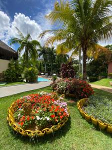 Hot spring hotel caldas novas