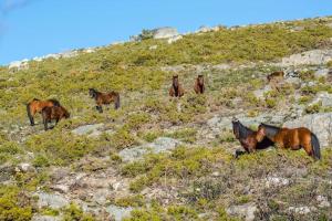 Casa do Rio, Natureza - Nova Gestão