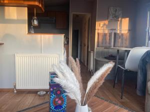 RBR 546 - Beach Resort Kamperland