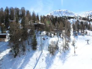 Studio confortable à Plagne Centre, accès direct aux pistes, balcon ensoleillé - FR-1-181-2637