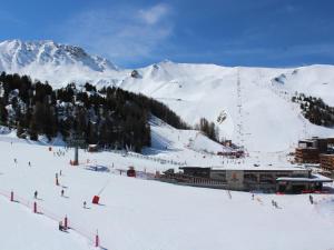 Studio confortable à Plagne Centre, accès direct aux pistes, balcon ensoleillé - FR-1-181-2637