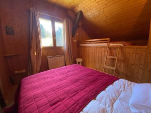 Chalet Savoyard À Samoëns Avec Cheminée Et WiFi - FR-1-624-80
