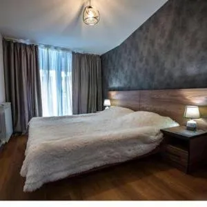 Area Park Bakuriani - Bakuriani