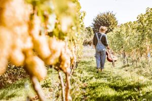 Vakantiewoning op Natuurterrein t Heuvelhof met optioneel hottub en sauna