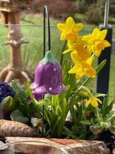 Bergchalet Löwenzahn