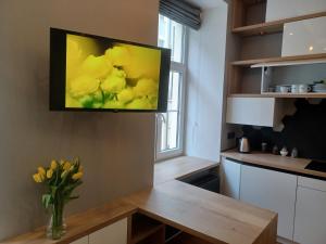 Apartament Piotrkowska 37 Studio