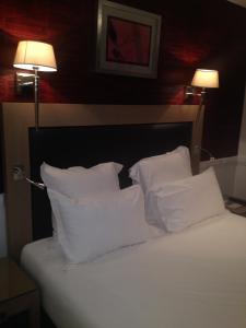 Hotels Hotel Elysees Flaubert : photos des chambres