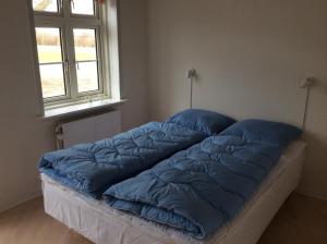 Axelgaard Guest Rooms