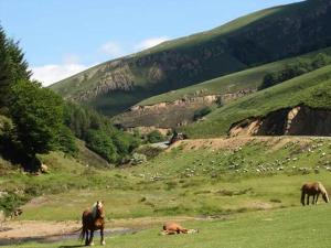 Campings Camping Europ'Camping - Maeva : photos des chambres