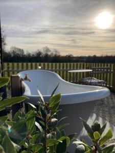 Marsh Farm Glamping Flittermouse Shepherd Hut