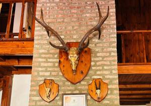 Fredys Bungalow near Nainital