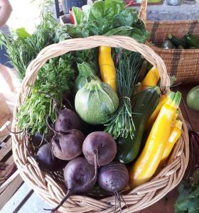 Appartements La ferme du Chant de Cailloux : photos des chambres