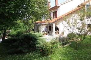 Apartment Benky Pican - Benažići