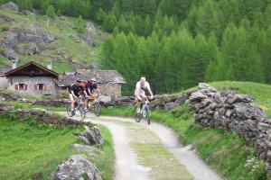 Maisons de vacances Chalet ferme Laiterie : photos des chambres