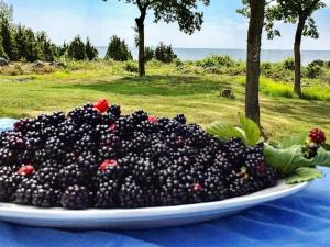 6 person holiday home in STURKÖ-By Traum