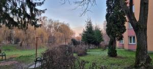 Flower Apartment - Edge