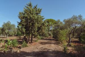 Villa Sant'Anna img47