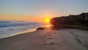 Seaside Tresure. - Vleisbaai