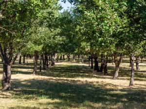 B&B / Chambres d'hotes Le Moulin du Paroy : photos des chambres