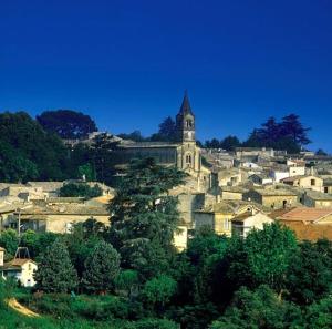 Le Castellas Hotel & SPA - PONT DU GARD - UZES