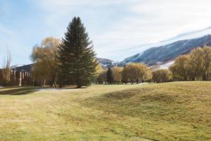 Park Avenue 2 Bedroom Condominiums - Sleeps 8