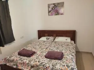 ארנון בגולן - Jdeïyé