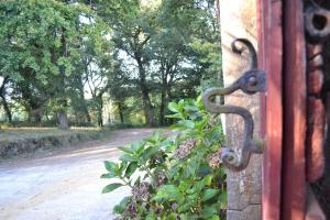 A Pena de Augasantas