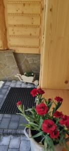 Góralskie Domki na Podhalu - z jacuzzi