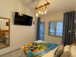 First Beachline Maritime Deluxe with Panorama-balcony in Sun Club