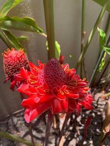 Luxury 5 Bedroom home, Steps to Beach Sol