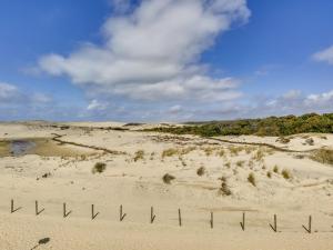 Maison T2 avec Mezzanine à Biscarrosse Plage, Terrasse et Barbecue - FR-1-521-82