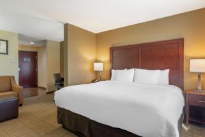 King Suite - Non-Smoking room in Comfort Suites Locust Grove Atlanta South