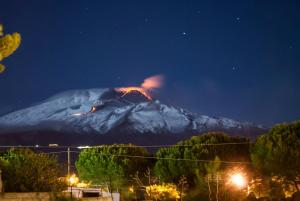 Donna Carmela - Da Rosa