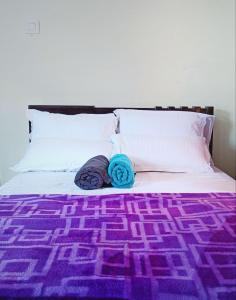 chaithanya wellness centre