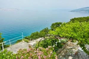 Sunny Lavanda - Turine