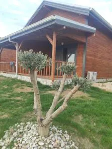 Koruwoodenhouse Alanya Gazipaşa - 加济帕夏