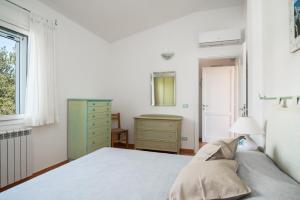 Sea Shell - Klodge img14