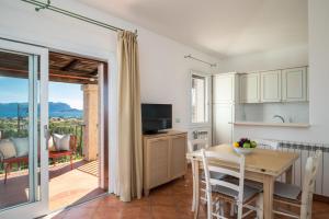 Sea Shell - Klodge img11