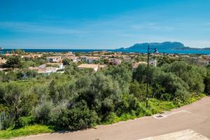 Sea Shell - Klodge img53