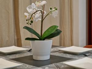 Bercsényi apartments - close to the Rudas Thermal Bath