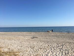 Holiday Near The Beach In Popular Area