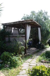 La Pirata Capitana img52