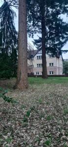 Apartment at Drummond Crescent