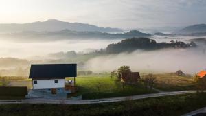 Villa Strtenica in the vineyard